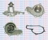 AQUAPLUS 85-5045 Water Pump